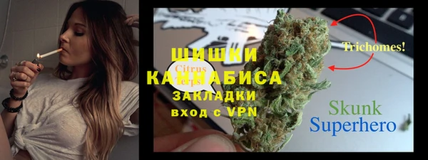 2c-b Краснослободск